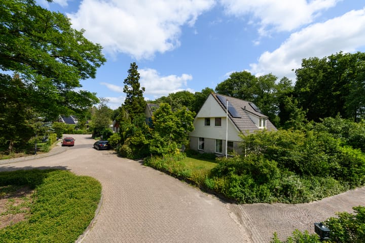 Foto 31 van de Pontsjer 21