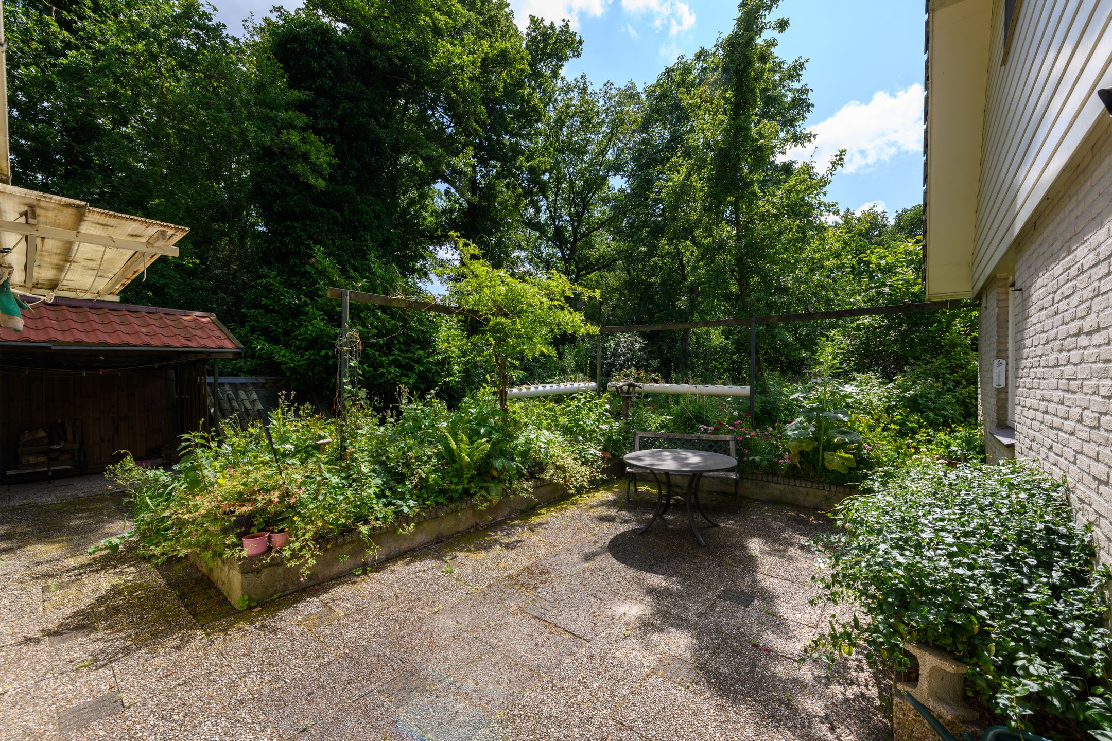 Foto 33 van de Pontsjer 21