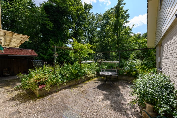 Foto 33 van de Pontsjer 21