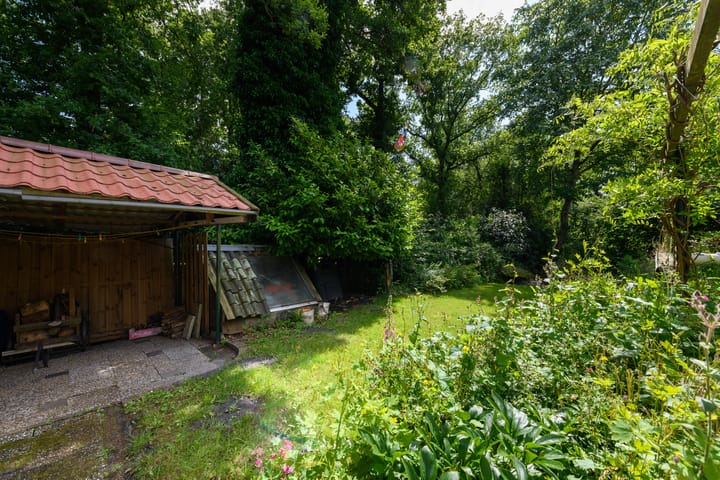 Foto 35 van de Pontsjer 21