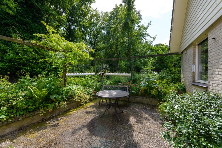 Foto 37 van de Pontsjer 21