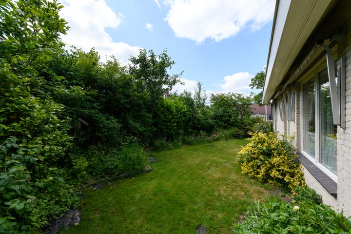 Foto 41 van de Pontsjer 21