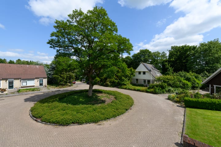 Foto 47 van de Pontsjer 21