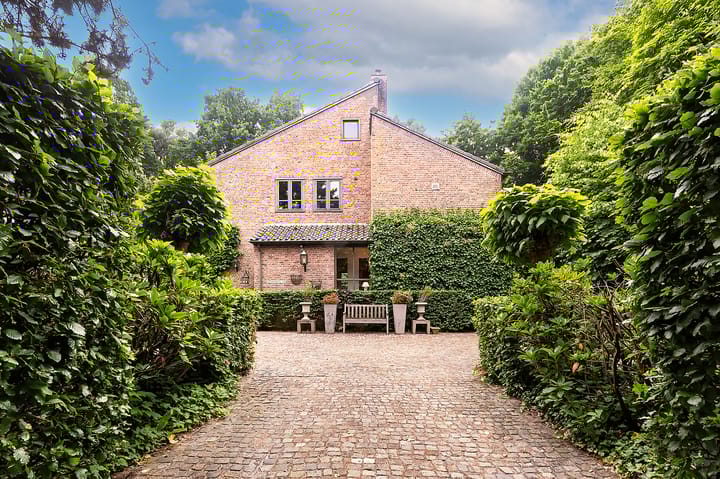 undefined main image