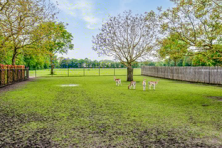 Photo 49 of Hellemonsdreef 8