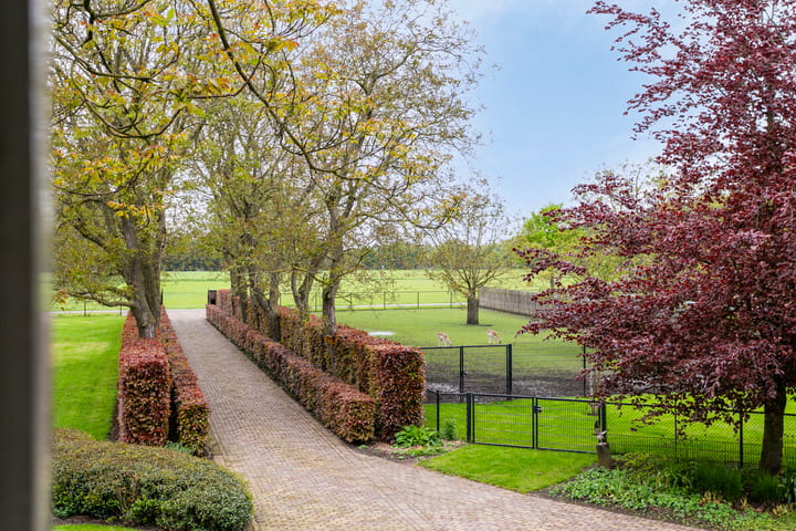 Photo 57 of Hellemonsdreef 8