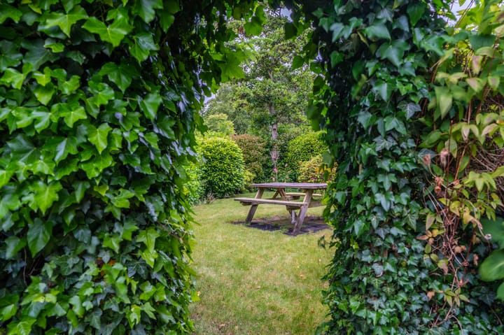 Foto 21 van Middenstraat 81