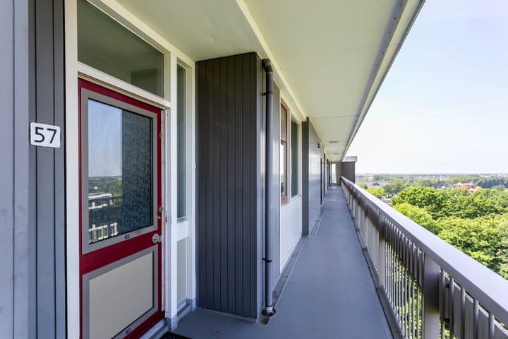 Foto 6 van Rachmaninoffplantsoen 57