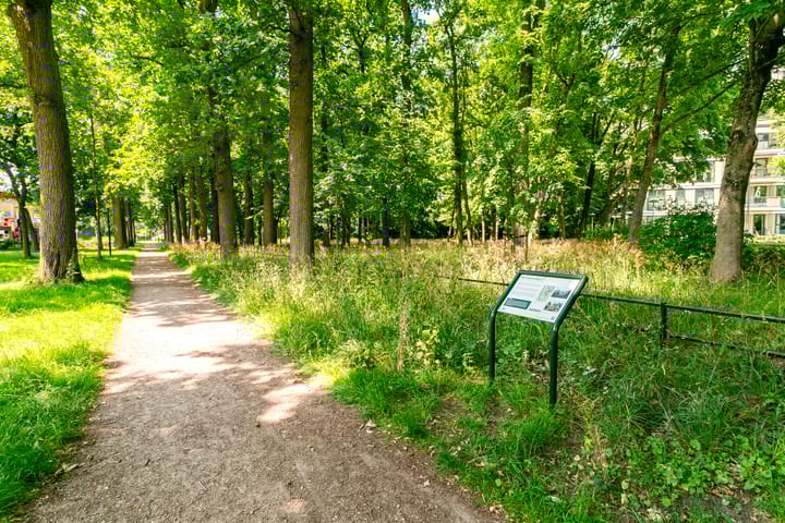 Foto 27 van Rachmaninoffplantsoen 57