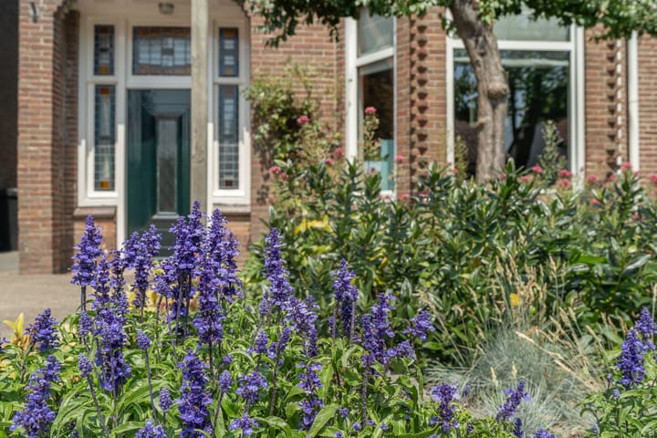 Photo 9 of Molenstraat 17