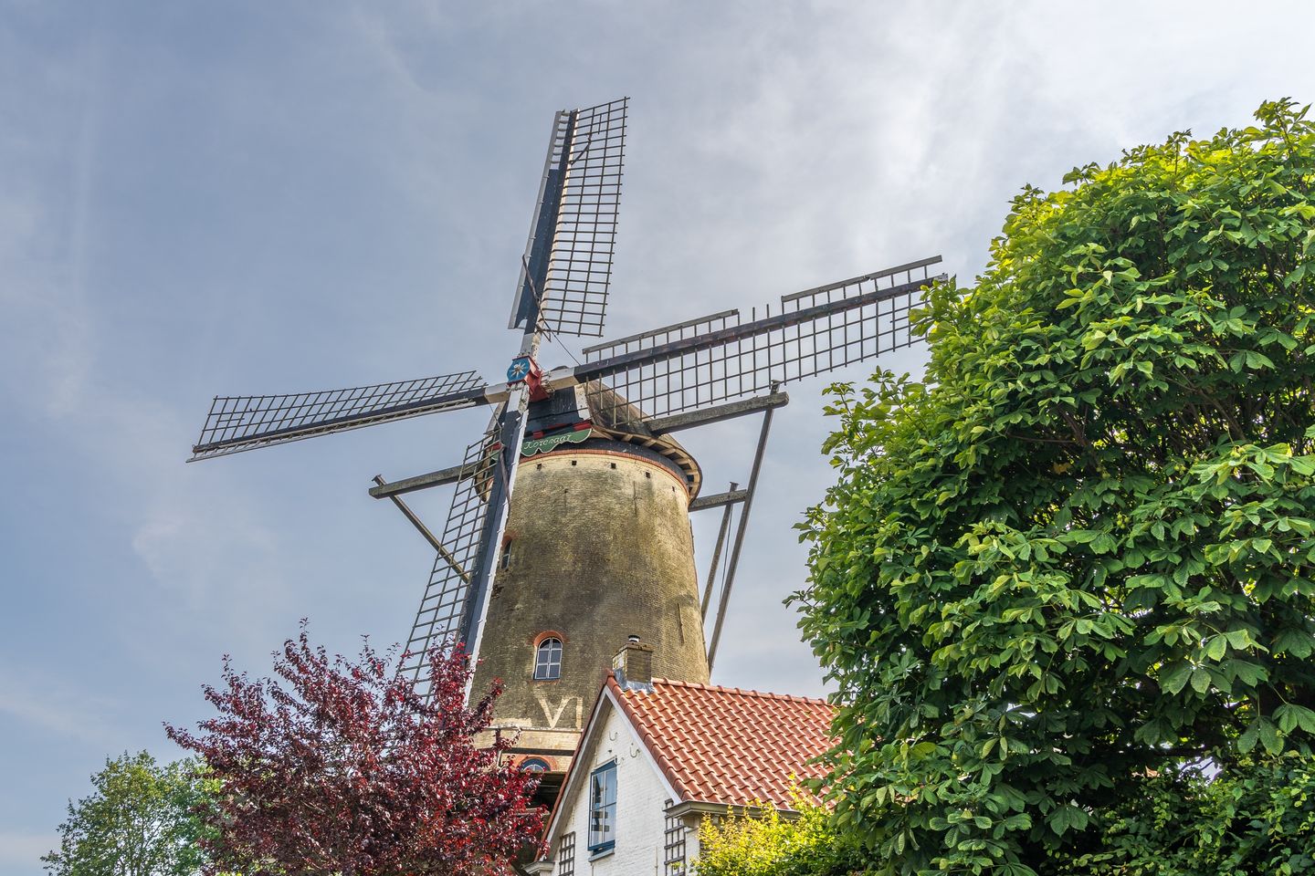 Foto 34 van Molenstraat 17