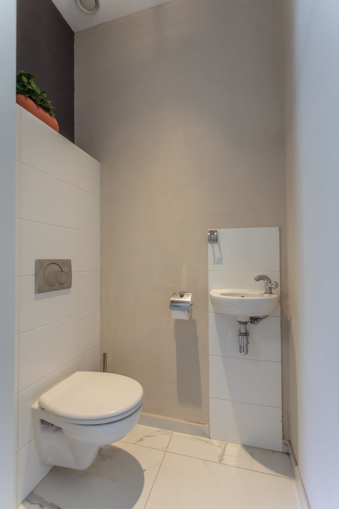 Foto 7 van Grasparkiet 16