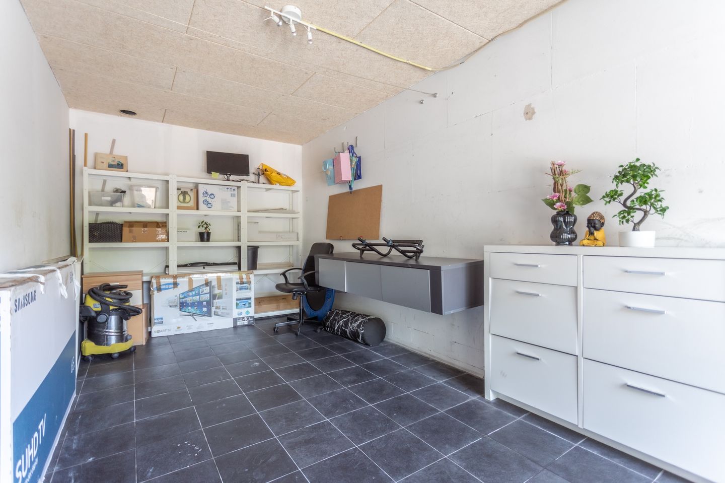 Foto 14 van Grasparkiet 16