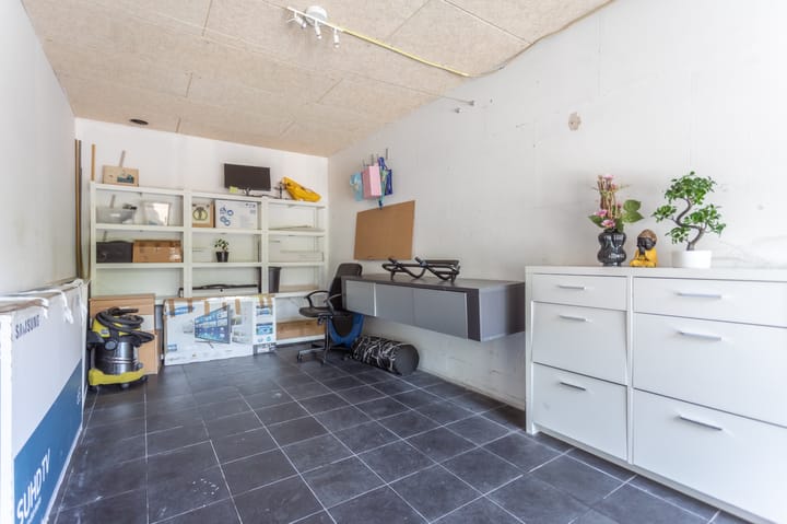 Foto 14 van Grasparkiet 16