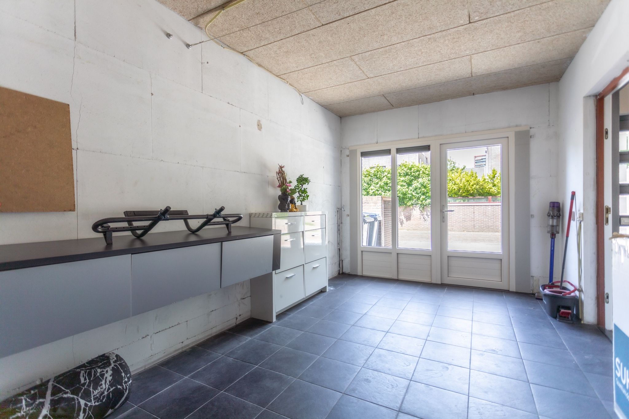 Foto 15 van Grasparkiet 16