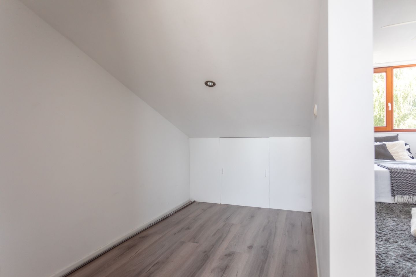 Foto 29 van Grasparkiet 16