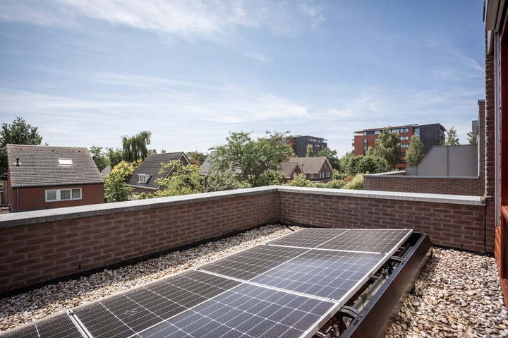 Foto 31 van Grasparkiet 16