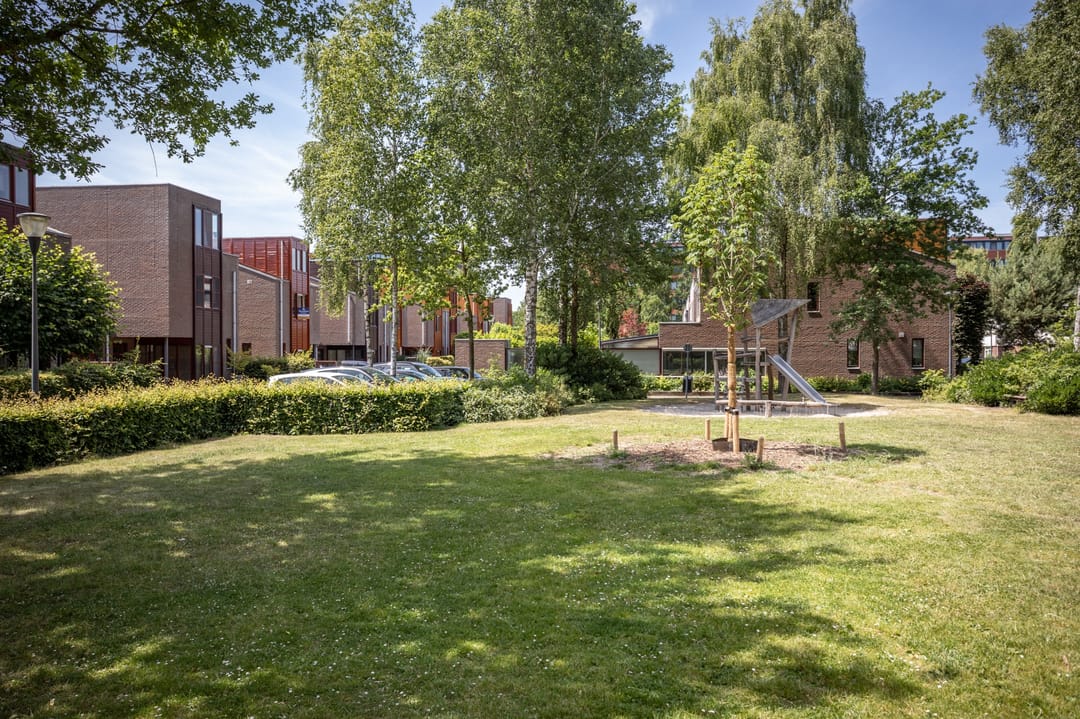 Foto 38 van Grasparkiet 16