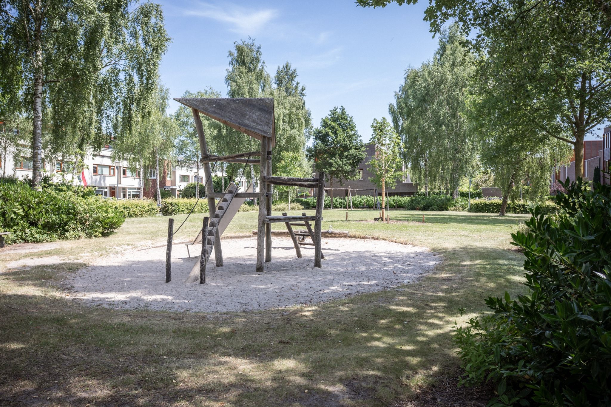 Foto 39 van Grasparkiet 16