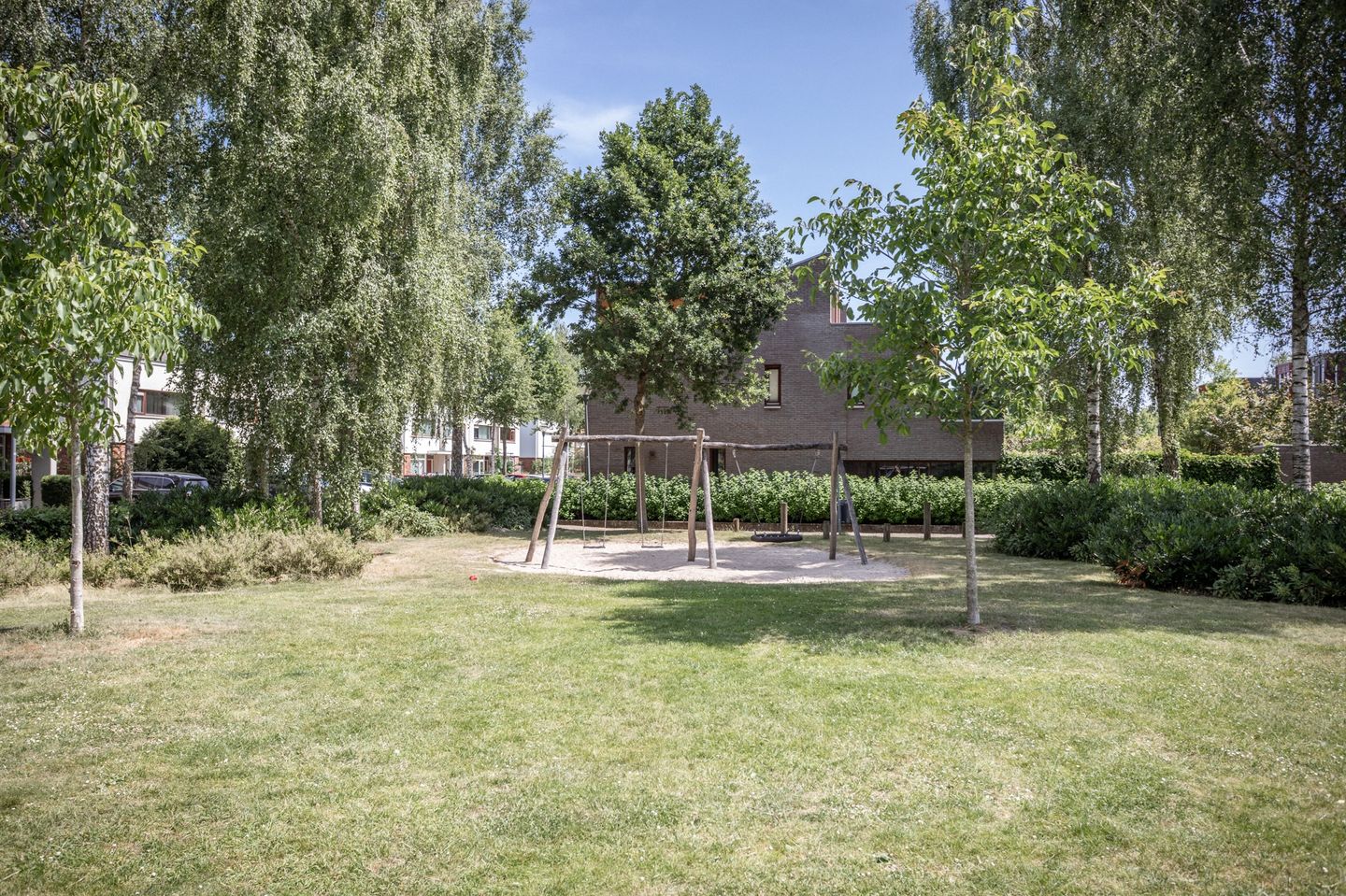 Foto 40 van Grasparkiet 16