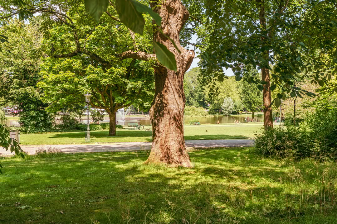 Foto 28 van Oosterpark 68-C