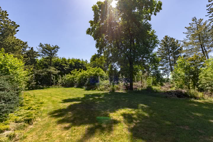 Foto 4 van Bontebrug 56