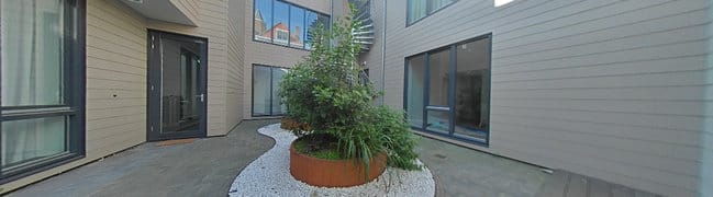 Gemeenschappelijke tuin