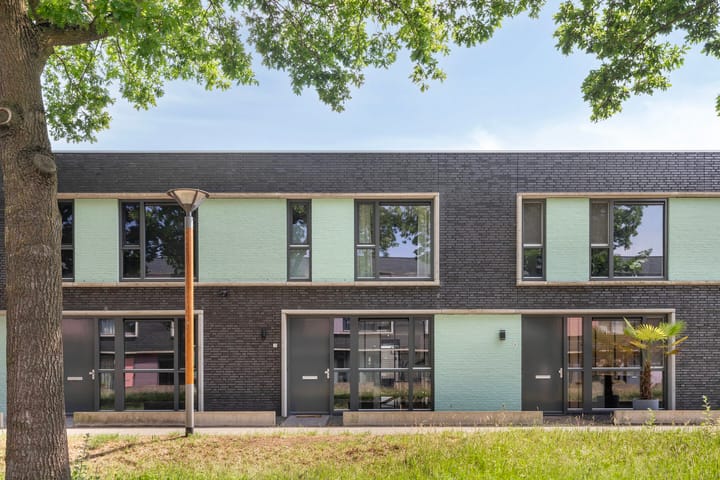 Foto 5 van Paardenbloem 11