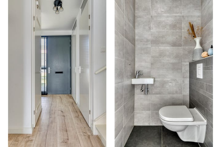 Foto 6 van Paardenbloem 11