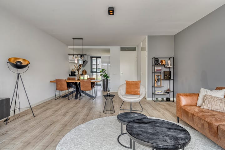 Foto 10 van Paardenbloem 11