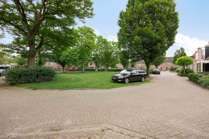 Foto 36 van Vedergras 38