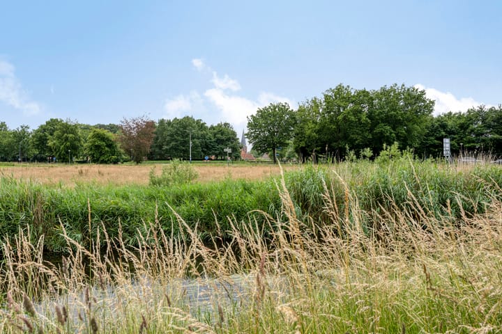 Foto 37 van Vedergras 38