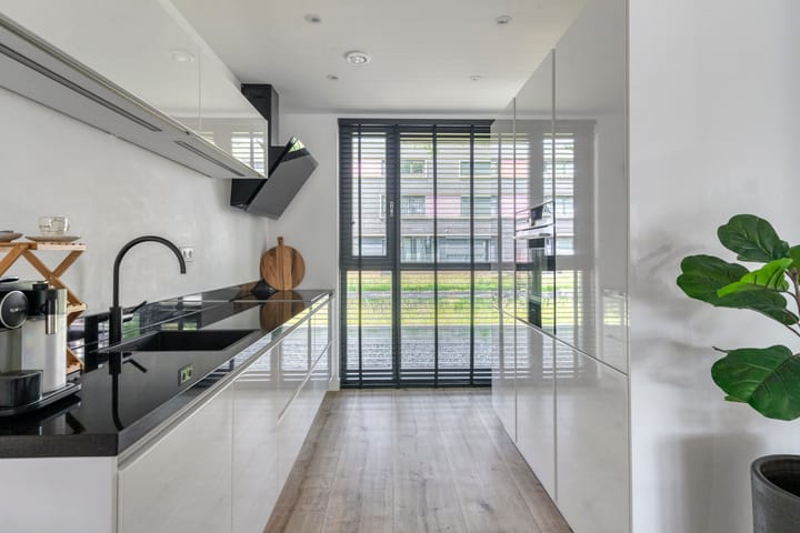 Foto 13 van Paardenbloem 11