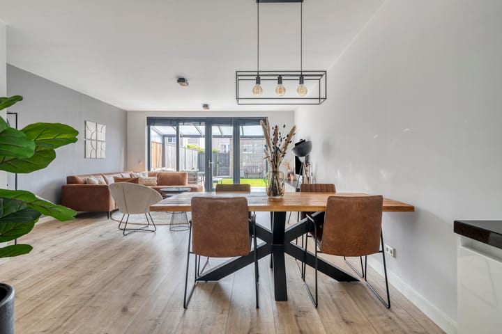 Foto 12 van Paardenbloem 11