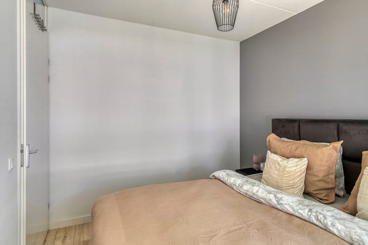 Foto 19 van Paardenbloem 11