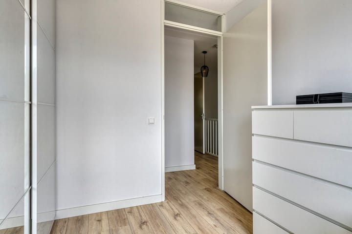 Foto 21 van Paardenbloem 11