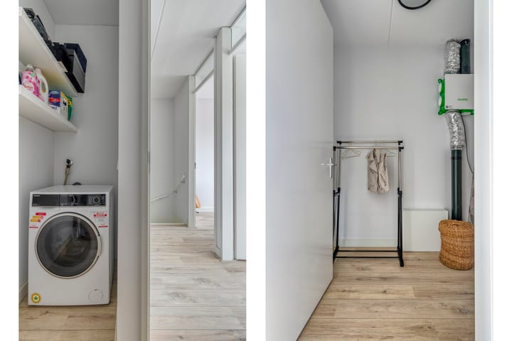 Foto 27 van Paardenbloem 11