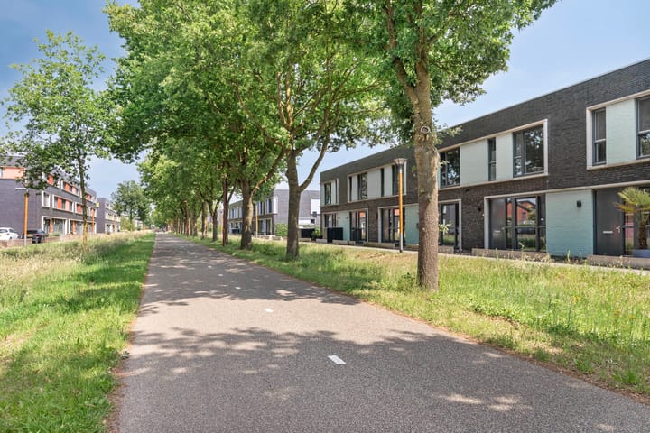 Foto 34 van Paardenbloem 11