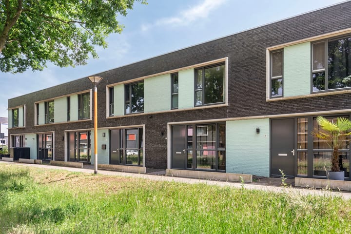 Foto 35 van Paardenbloem 11