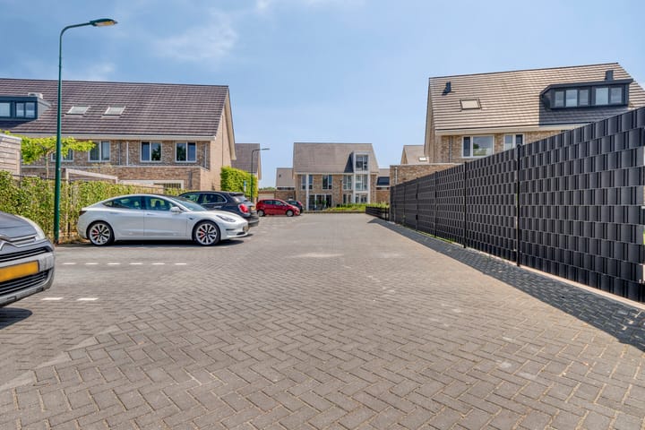 Foto 36 van Paardenbloem 11