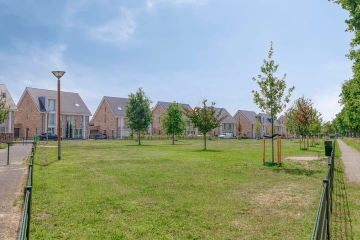 Foto 38 van Paardenbloem 11