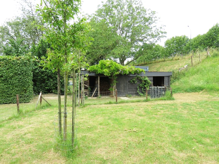 Foto 16 van Hoge Maasdijk 128