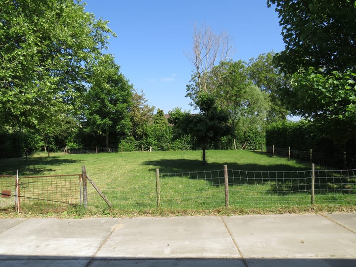 Foto 23 van Hoge Maasdijk 128