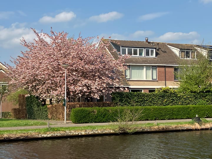 Foto 42 van Esdoornstraat 57