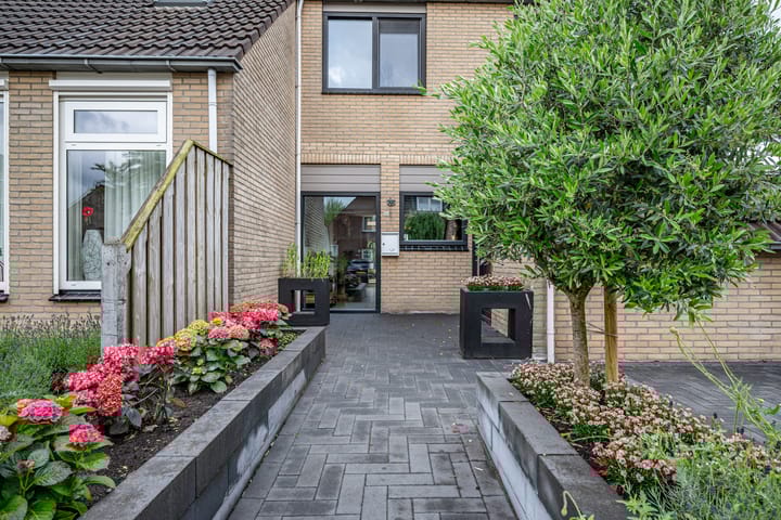 Foto 2 van Evert Reddersland 30