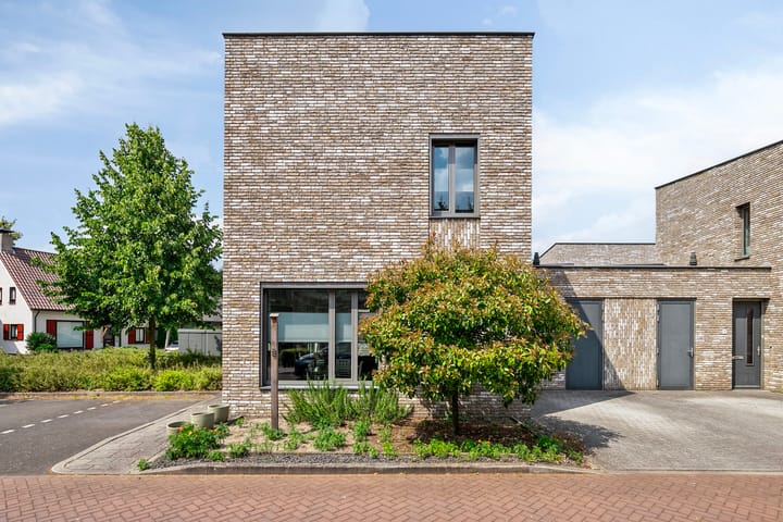 Foto 7 van Standerdmolen 2