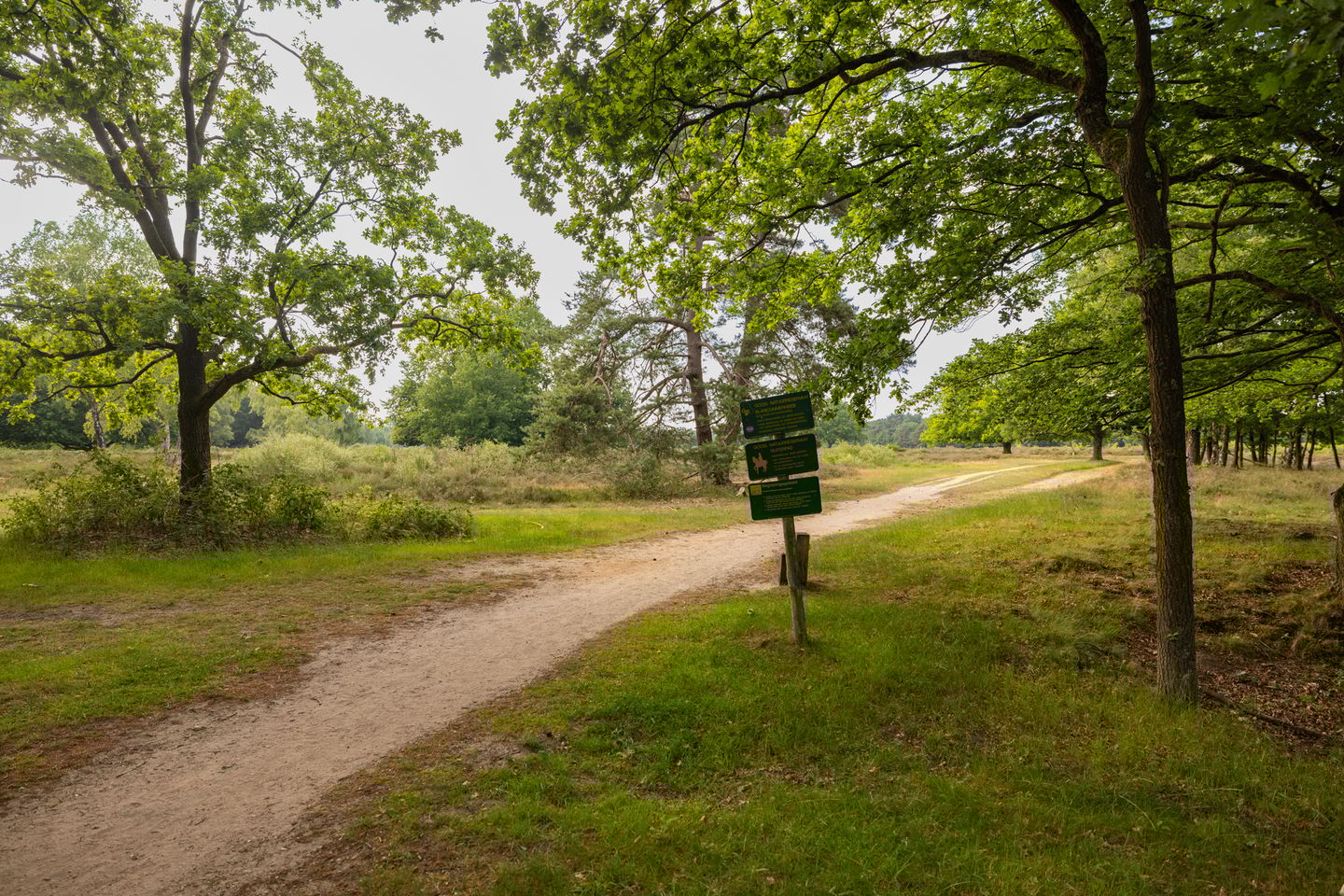 Foto 4 van Oranje Nassaulaan 2