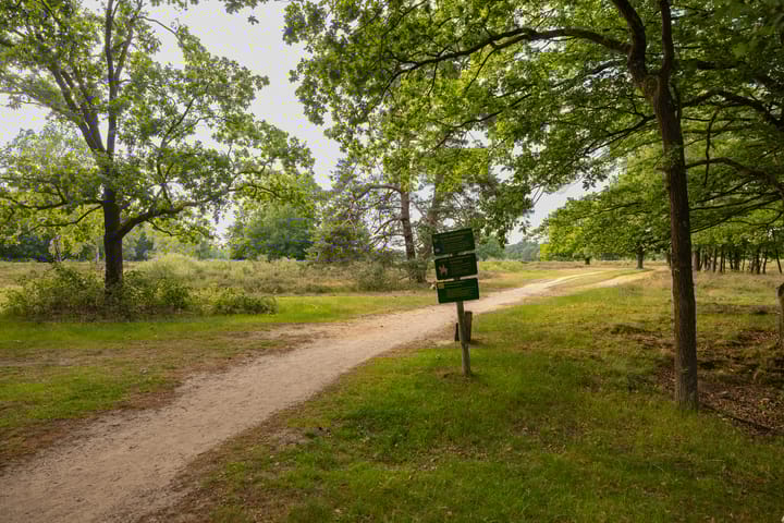 Foto 4 van Oranje Nassaulaan 2