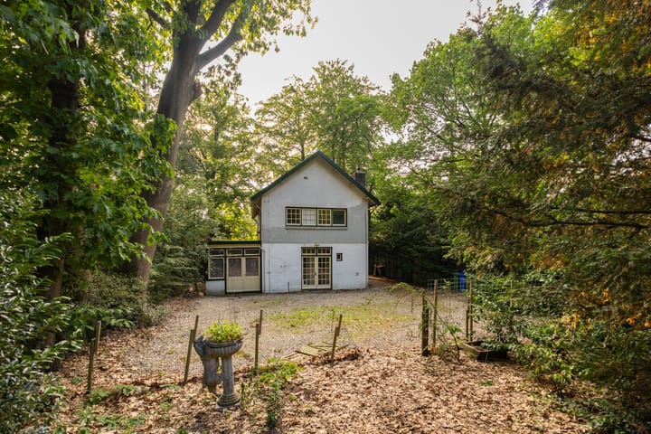 Foto 5 van Oranje Nassaulaan 2