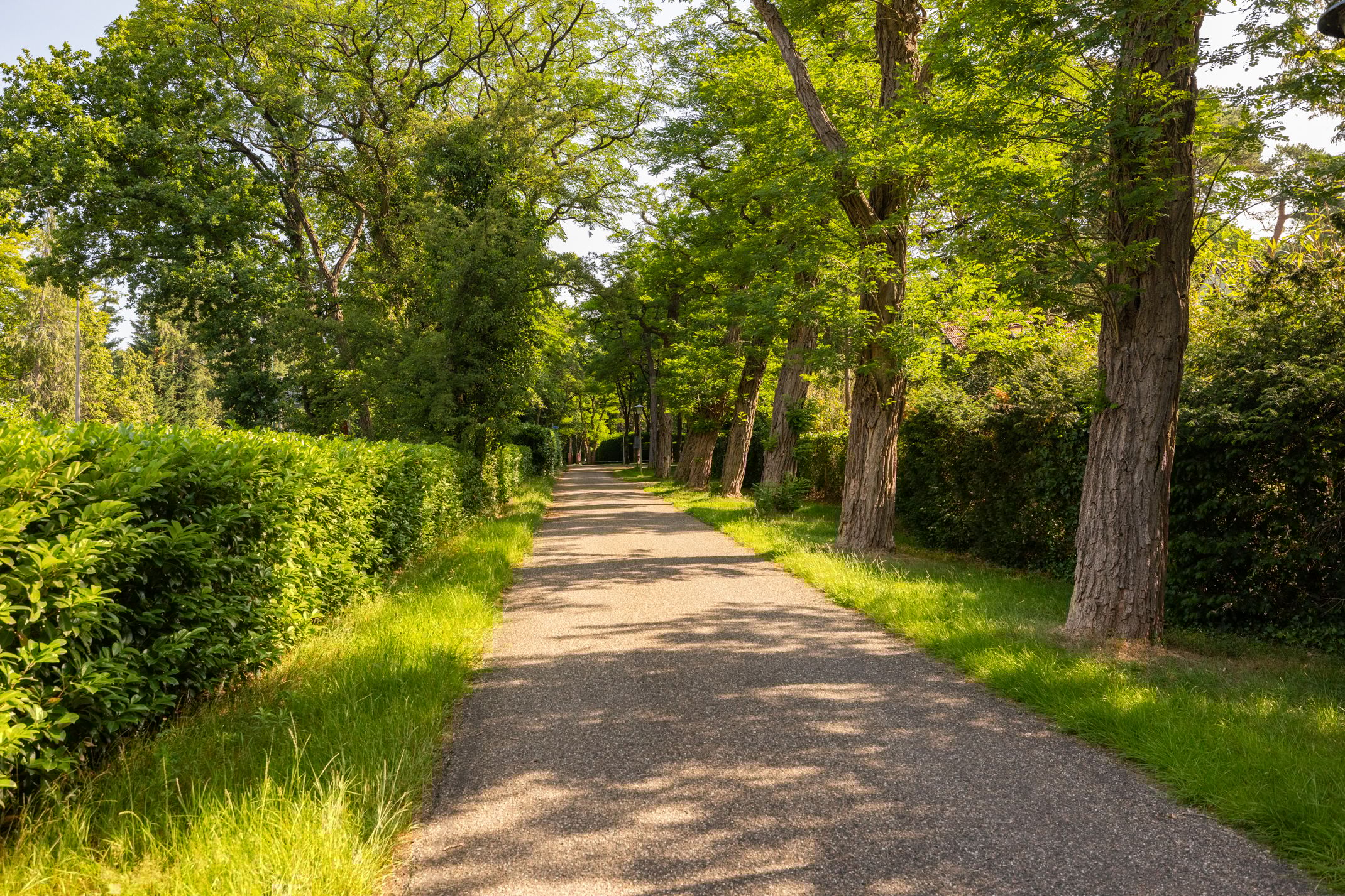 Foto 6 van Oranje Nassaulaan 2